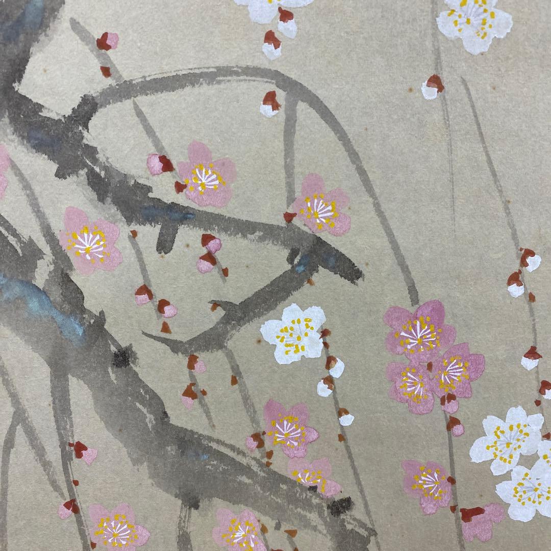 美品 掛け軸 出口華凰作 枝垂梅図 共箱 美術年鑑掲載 縁起物