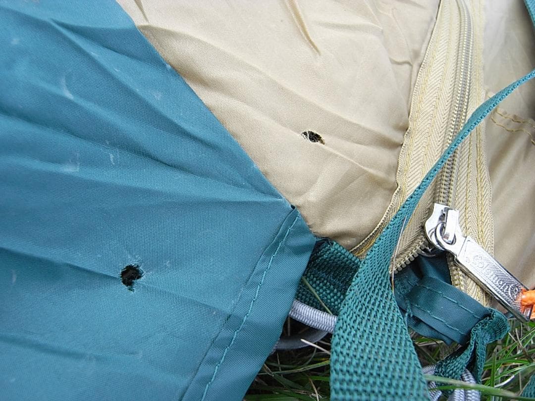 【設営確認済】コールマン タフスクリーン2ルームハウス 中古