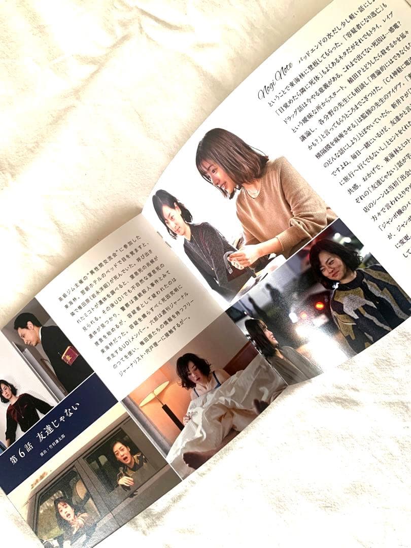 アンナチュラルDVD 初回限定盤茶色い小鳥絵本　ブックレット　ミニクリアファイル