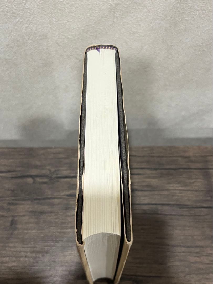 【送料込み】魂の変容　心的基礎概念の歴史的構成　中畑正志　岩波書店　絶版本