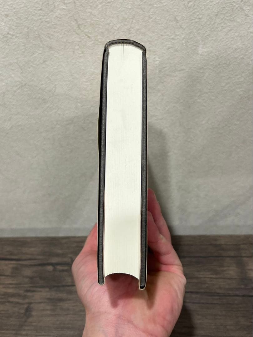 【送料込み】魂の変容　心的基礎概念の歴史的構成　中畑正志　岩波書店　絶版本