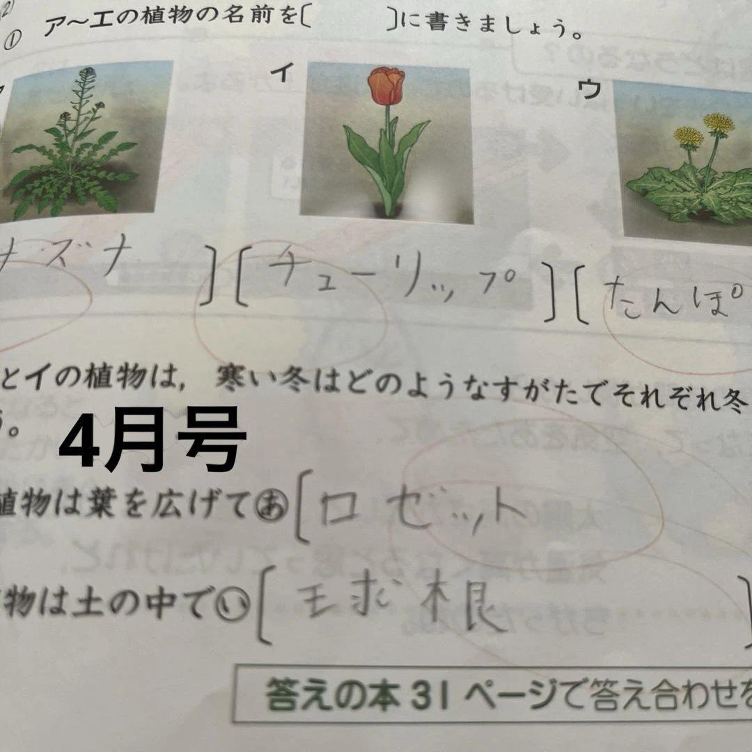 進研ゼミ　ベネッセ　考える力・プラス中学受験講座 4年生　4月から3月まで1年分