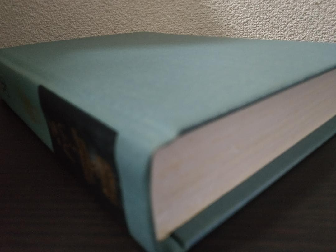 ANNU REV PHYS CHEM v49 1998 物理化学年次学術雑誌