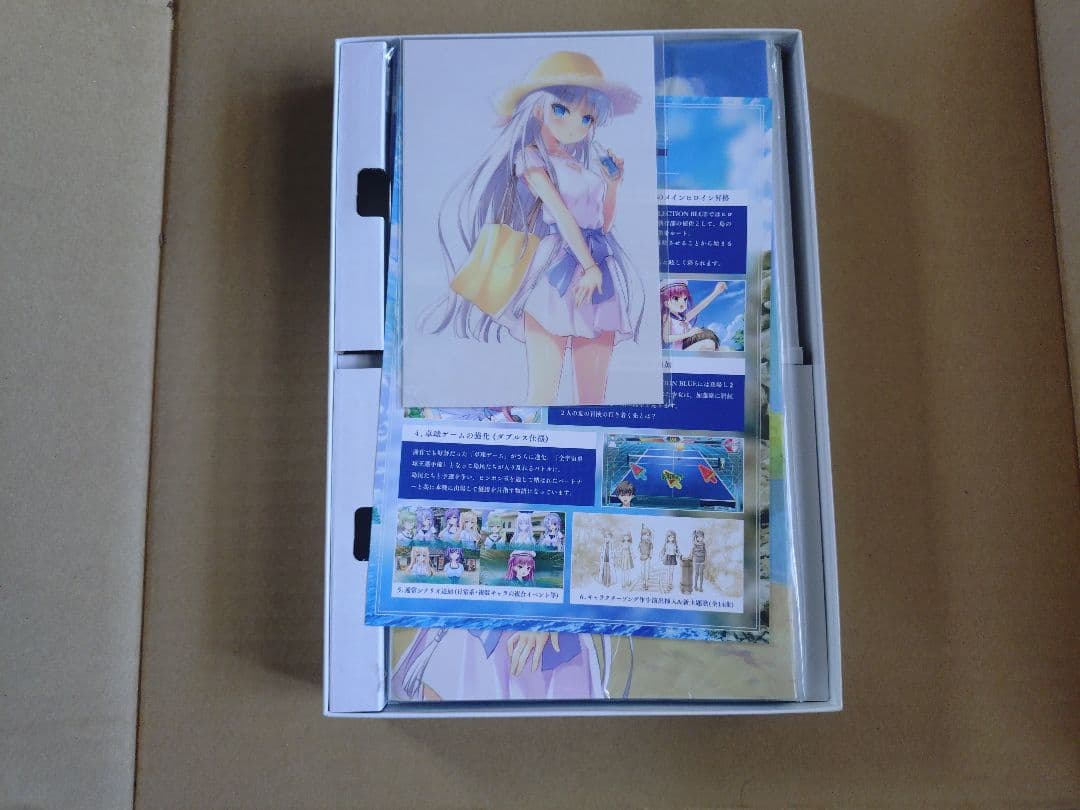 Summer Pockets REFLECTION BLUE初回限定版