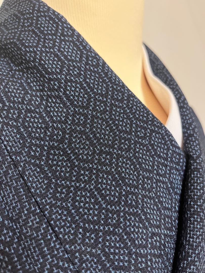 【超絶逸品】●新潟県伝統工芸品●【本塩沢】●強撚糸●草木染●亀甲●紬●着物