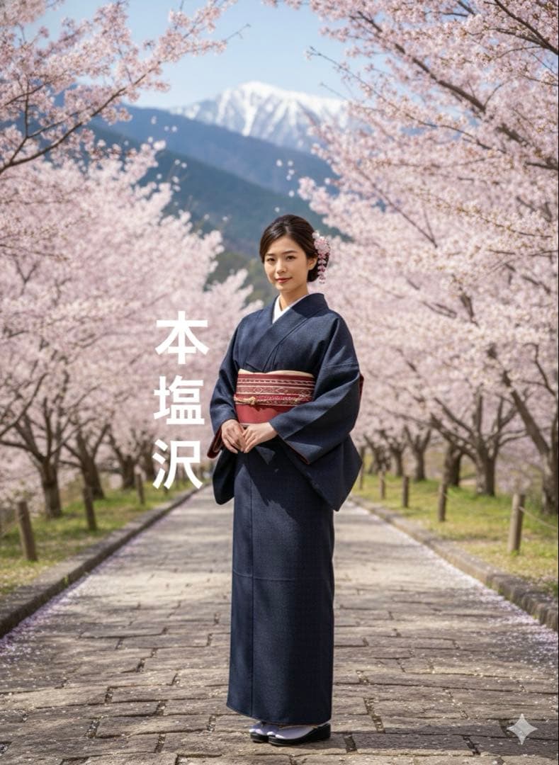 【超絶逸品】●新潟県伝統工芸品●【本塩沢】●強撚糸●草木染●亀甲●紬●着物