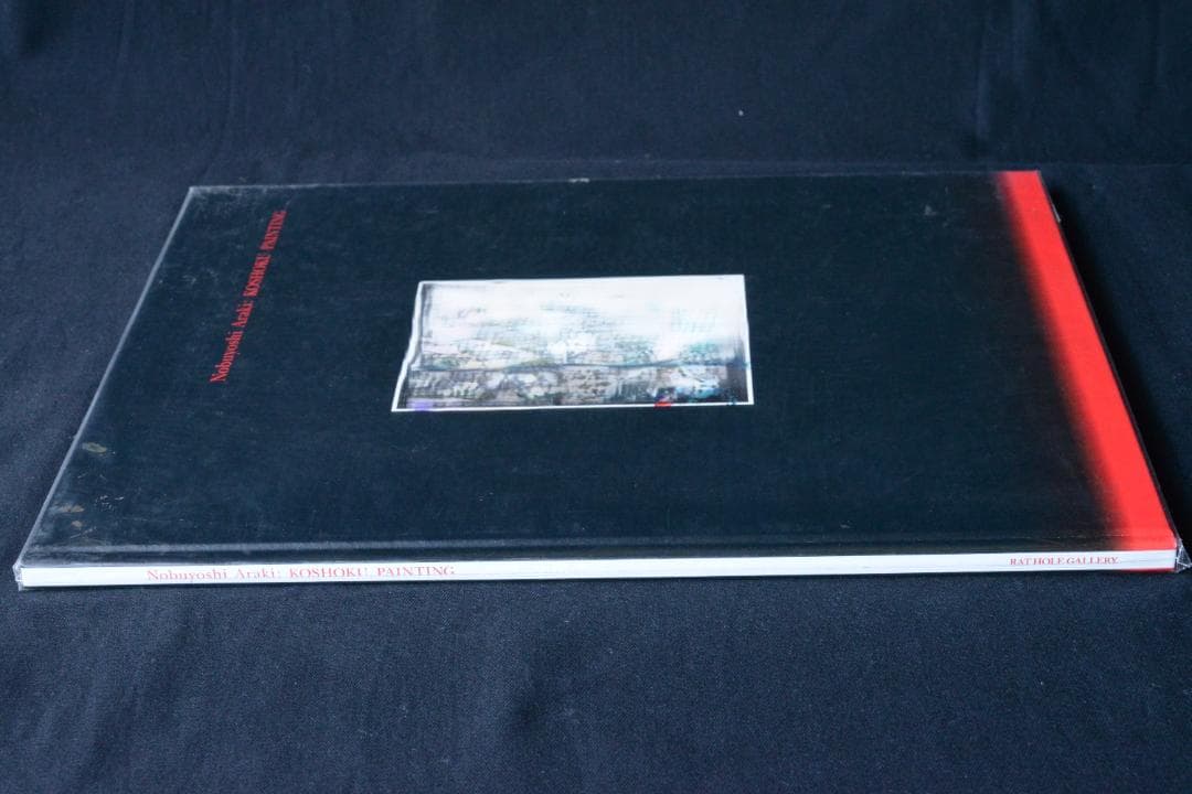 【荒木経惟： Koshoku Painting】　★★大幅に値下げしました