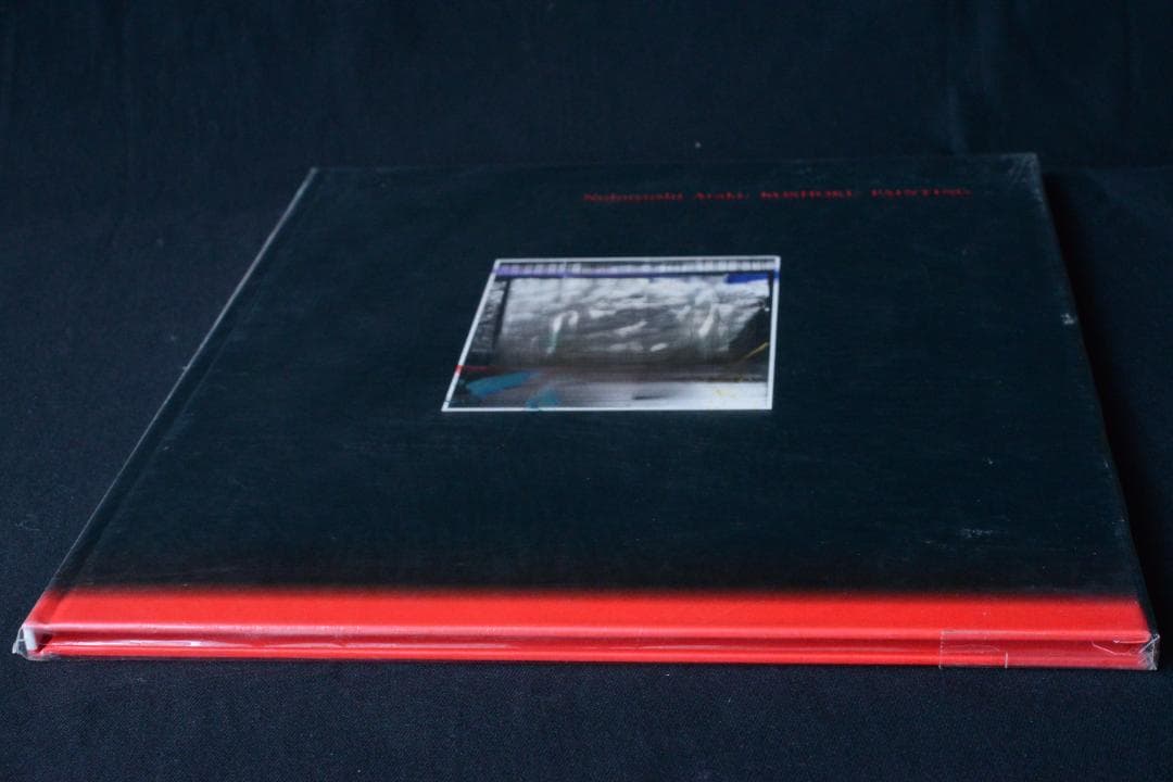 【荒木経惟： Koshoku Painting】　★★大幅に値下げしました