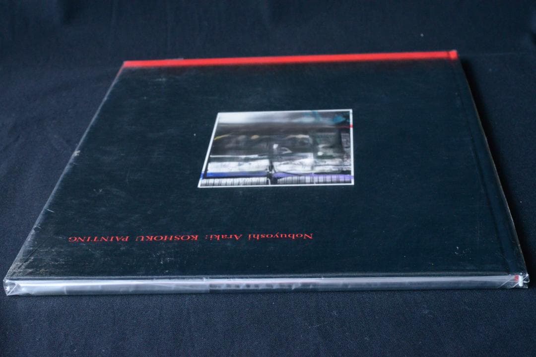 【荒木経惟： Koshoku Painting】　★★大幅に値下げしました