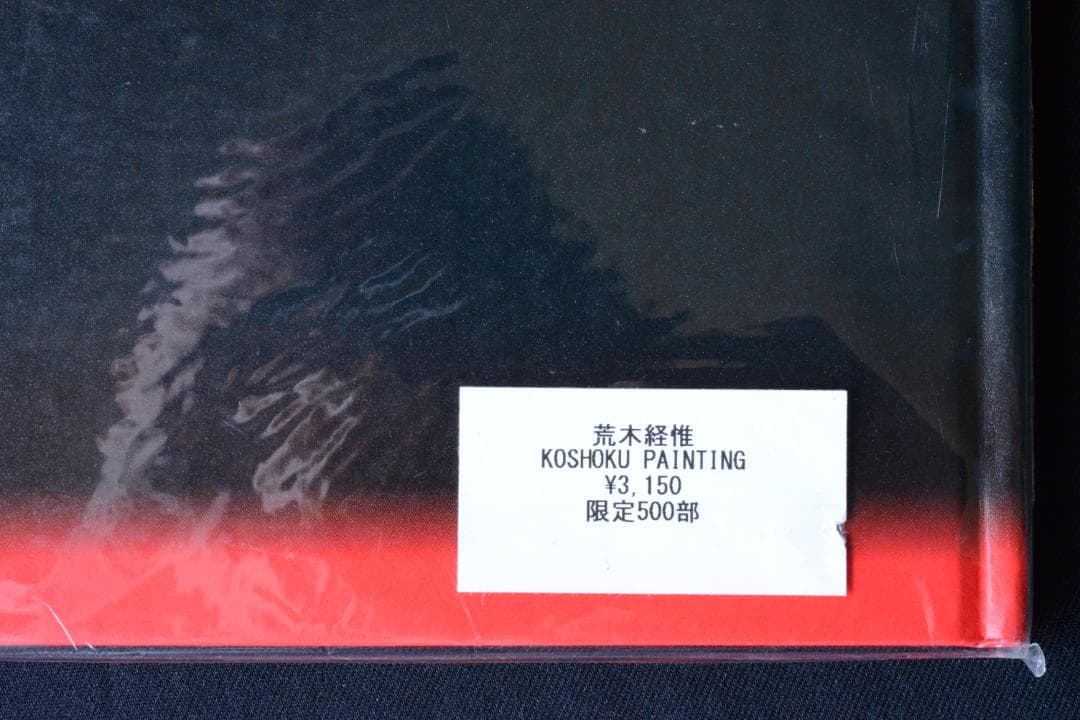 【荒木経惟： Koshoku Painting】　★★大幅に値下げしました