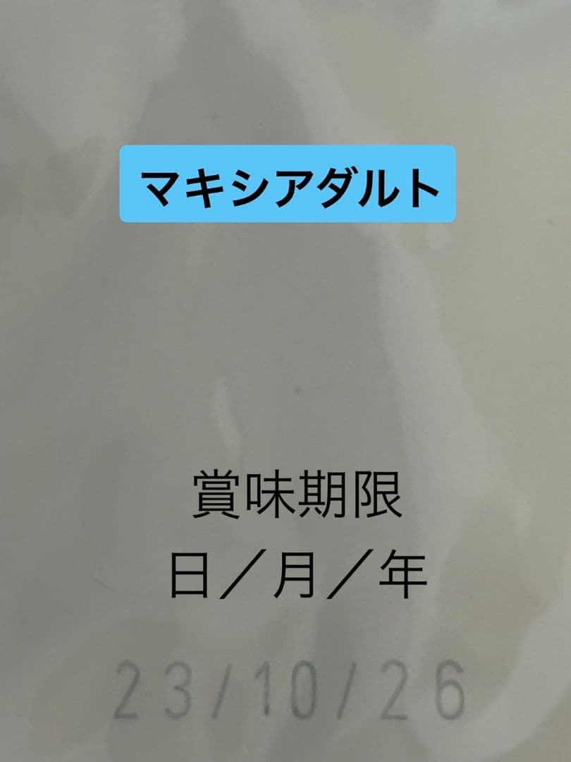  CANIN マキシアダルト 16kg　大型犬
