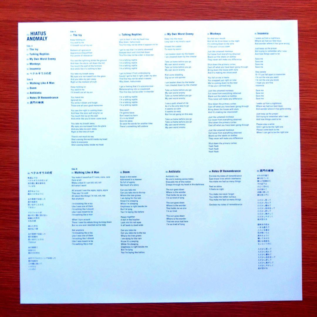 邦楽 the HIATUS - ANOMALY LP