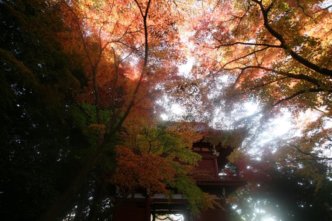 【訳あり】Canon EF 20-35mm F2.8 L ズームレンズ