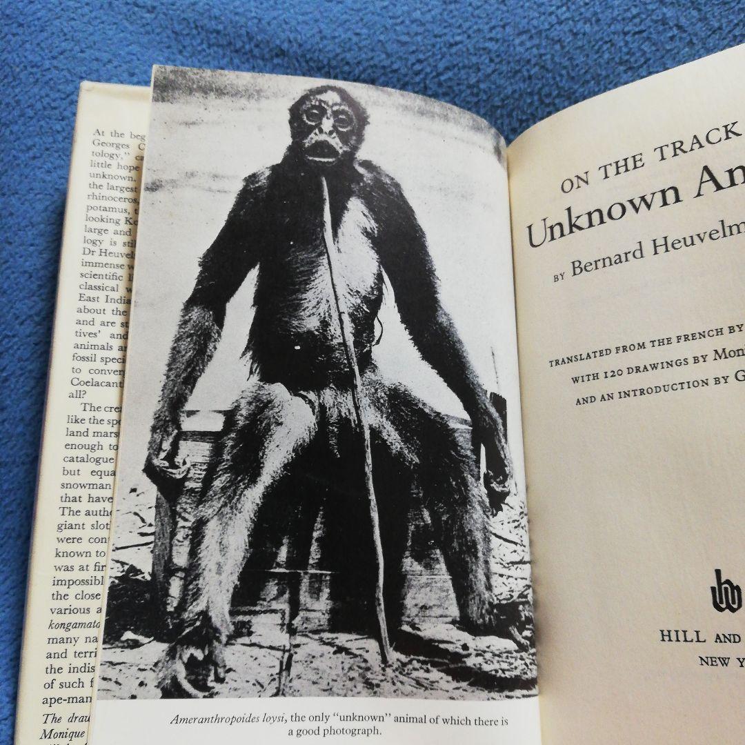 洋書 On the Track Unknown Animals/Heuvelmans