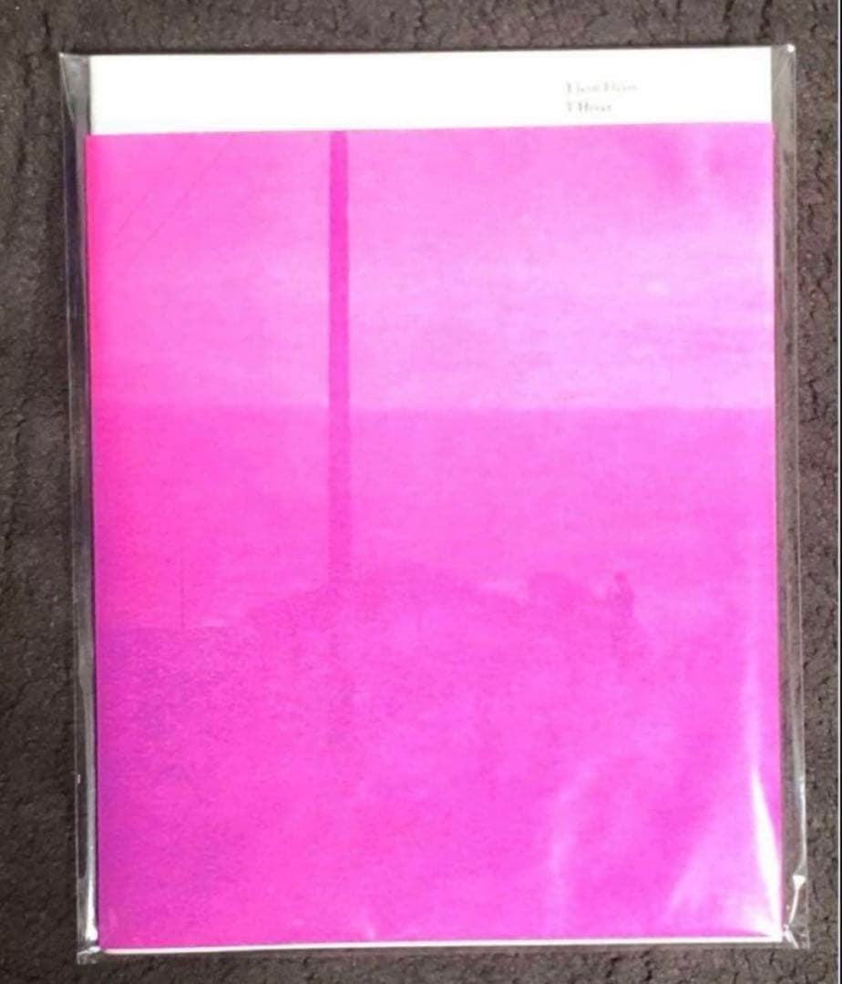 完売‼️ エレン・フライス　Elein Fleiss 作品集