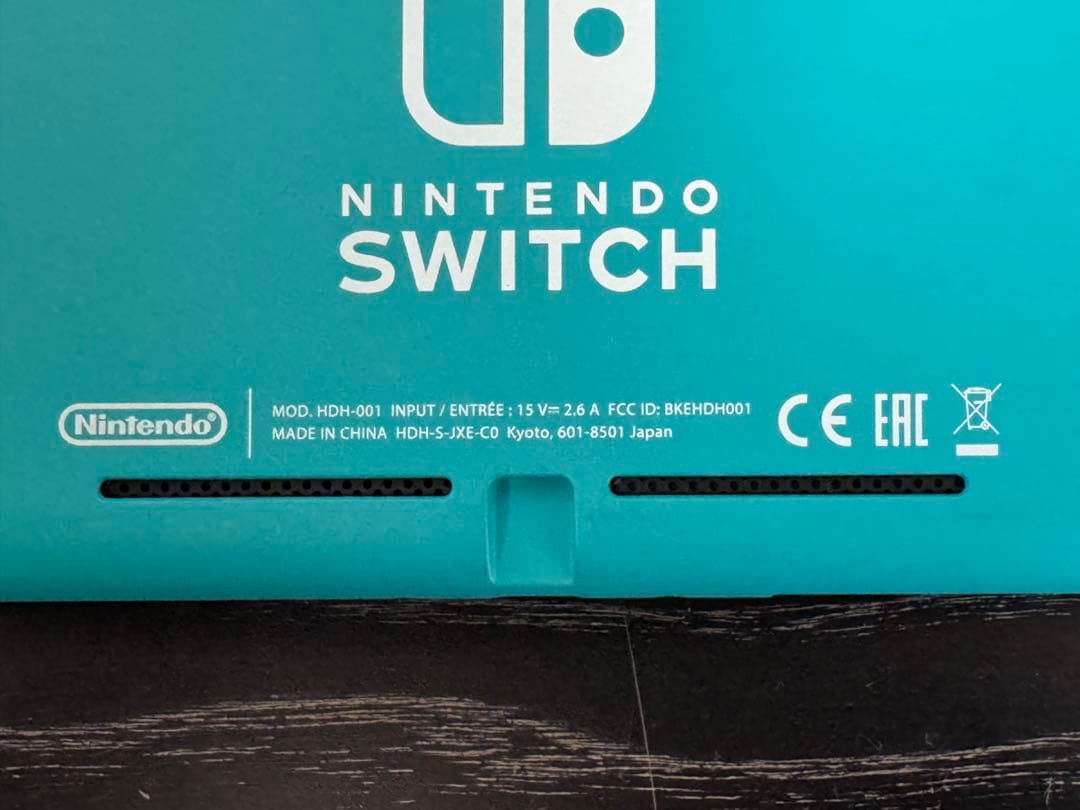 Nintendo Switch Lite本体 充電器 ケース フィルム付き