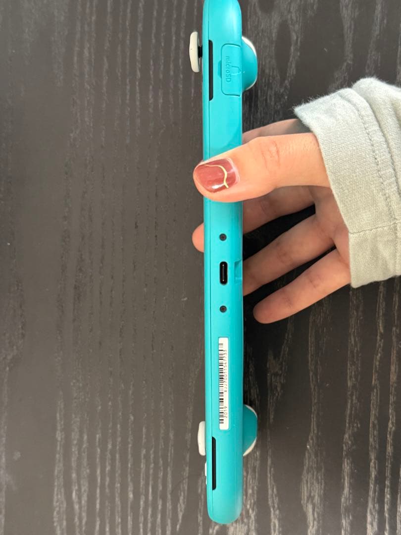 Nintendo Switch Lite本体 充電器 ケース フィルム付き