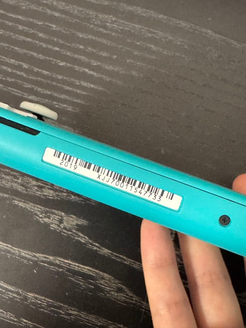 Nintendo Switch Lite本体 充電器 ケース フィルム付き