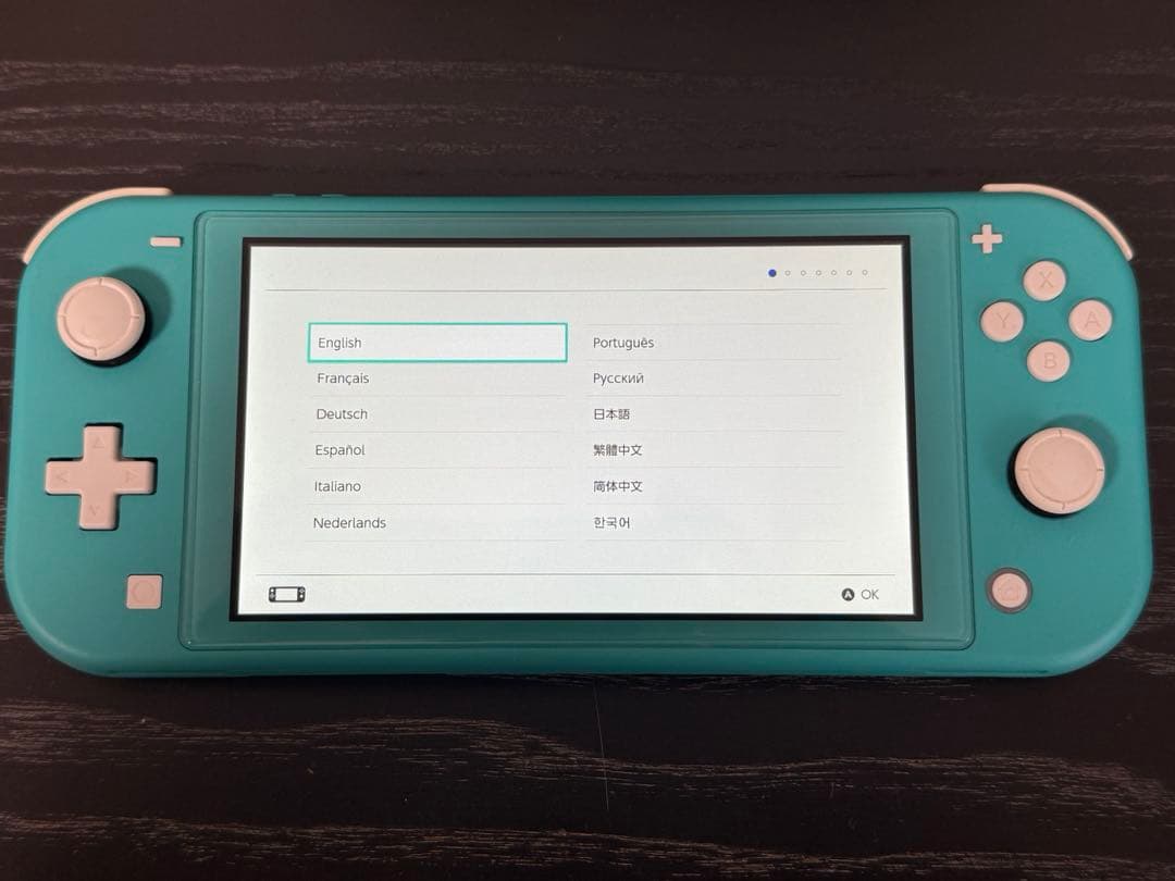 Nintendo Switch Lite本体 充電器 ケース フィルム付き