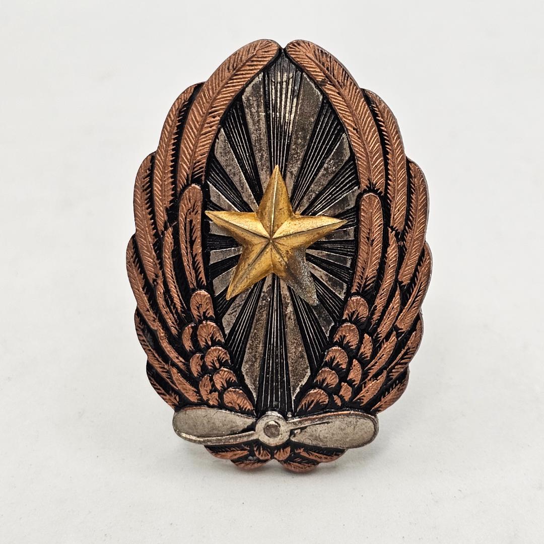 ✨実物 希少✨ 旧日本陸軍 軍用機 操縦術修得徽章 ミリタリー