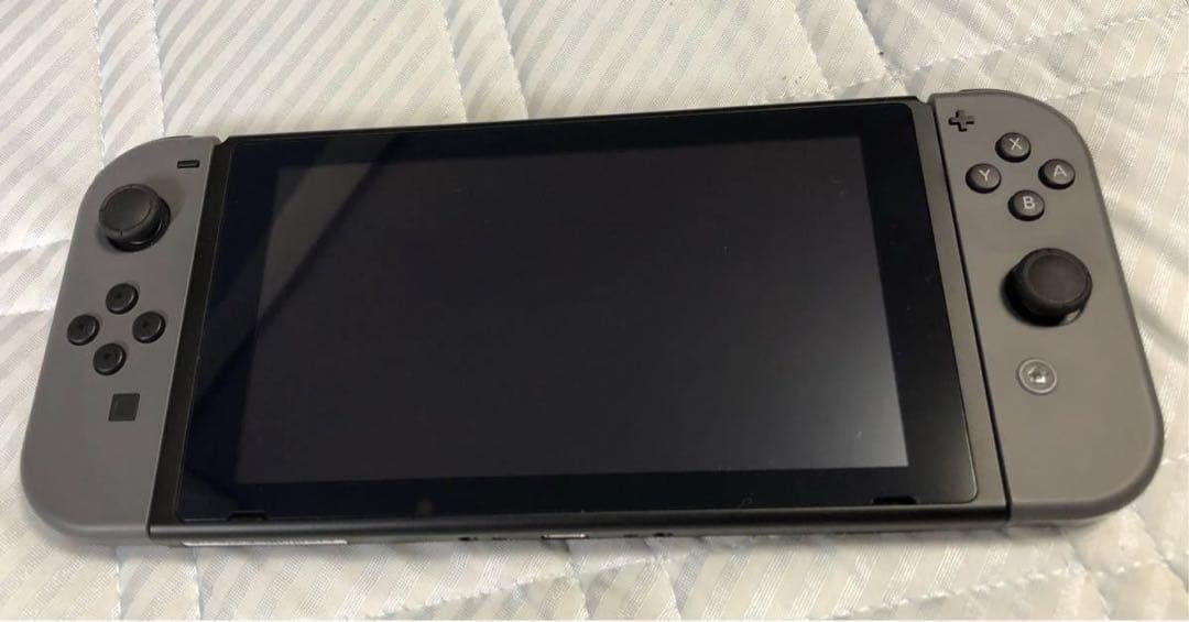 Nintendo Switchグレー 本体とケース