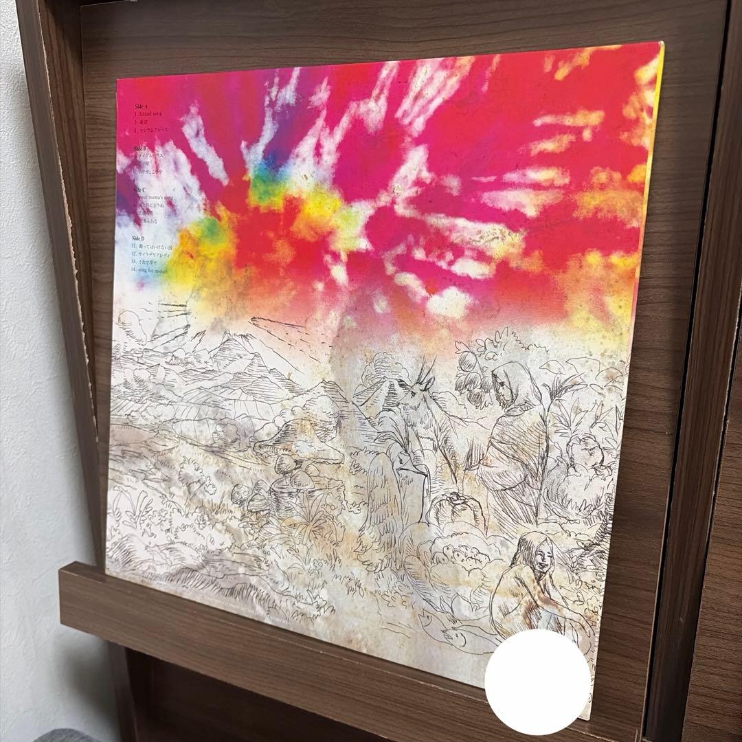 ★サイン付き★ 踊ってばかりの国 レコード アナログ盤 LP