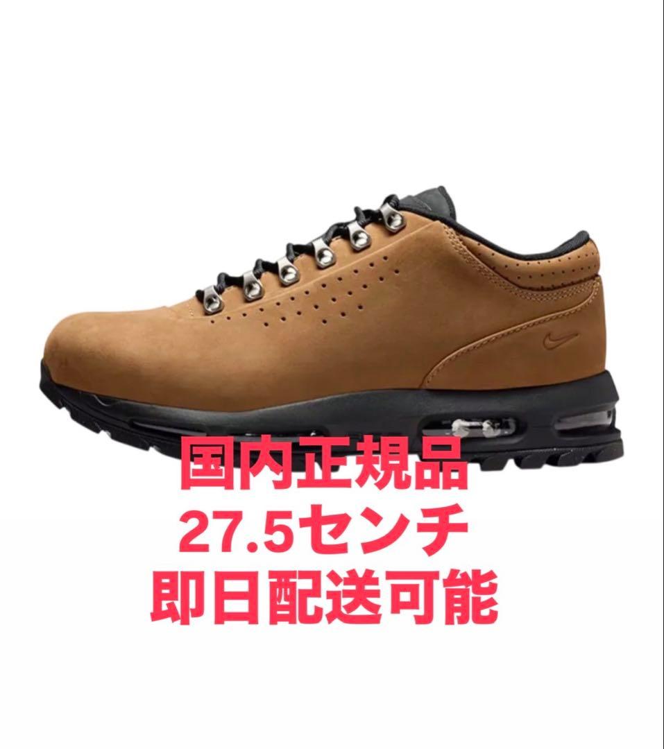 靴 Nike Air Max Goadome Low SP \