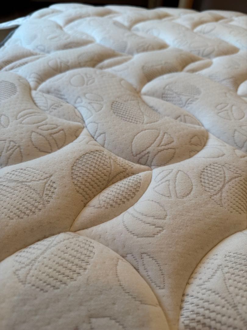 サータDペディック62F1Nミディアムハード