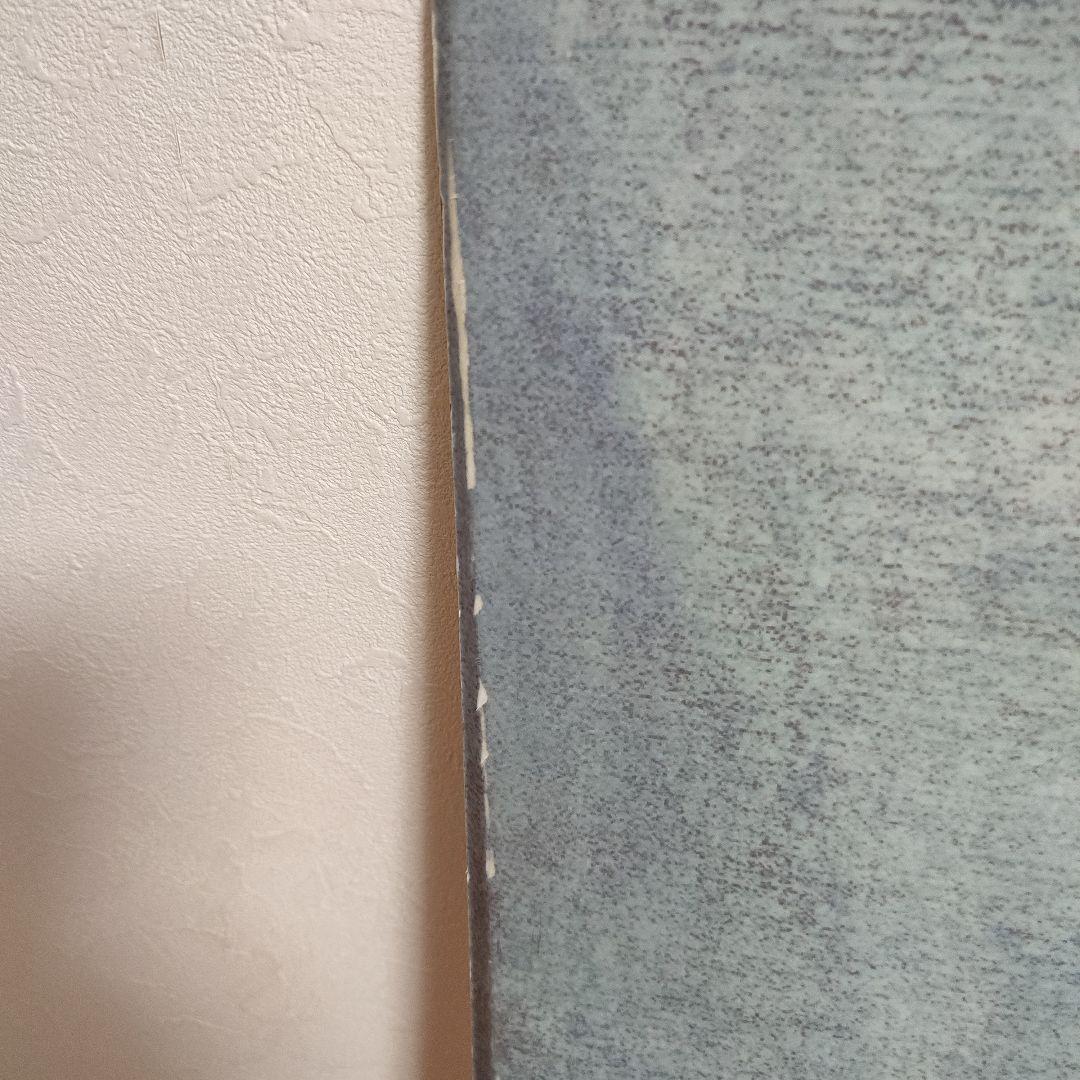 なぎすけさん専用　NITRO Nicola Thost 145 スノーボード