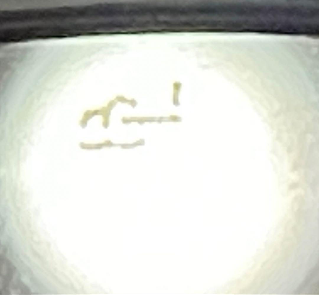 8282　芯なし B&L RAY BAN 5022 レイバン