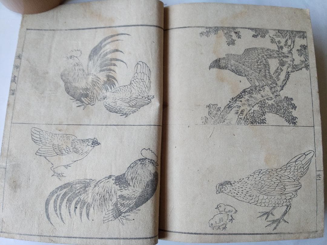 『 通神画譜 通神畫譜 』合川亭眠和 画 柿のやのあるじ 序文 文政二年 珍品本