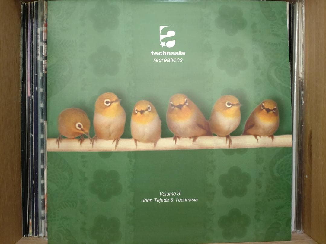 Technasia/Sino （9枚セット） レコード レーベル TECHNO