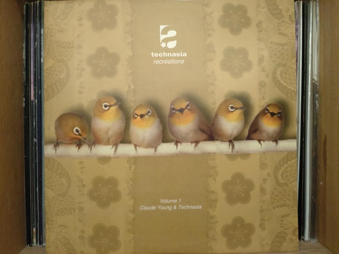 Technasia/Sino （9枚セット） レコード レーベル TECHNO