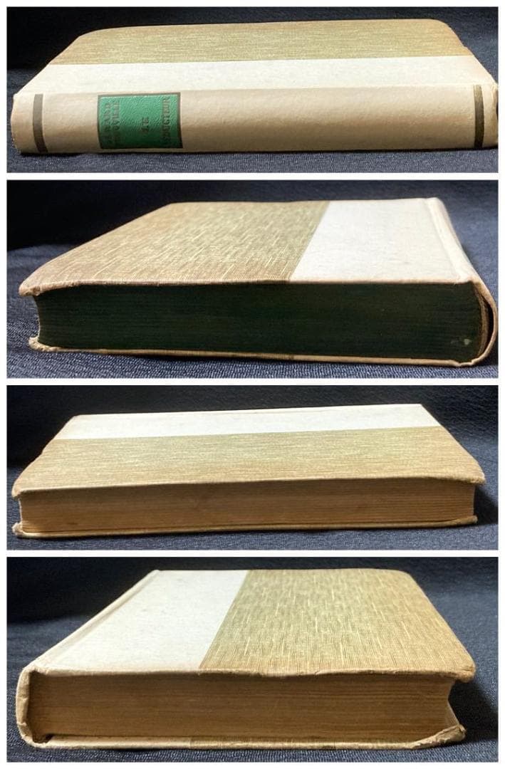 カバー付⭐️1934年 A.E.マルティ 挿絵『誘惑者』LE SEDUCTEUR