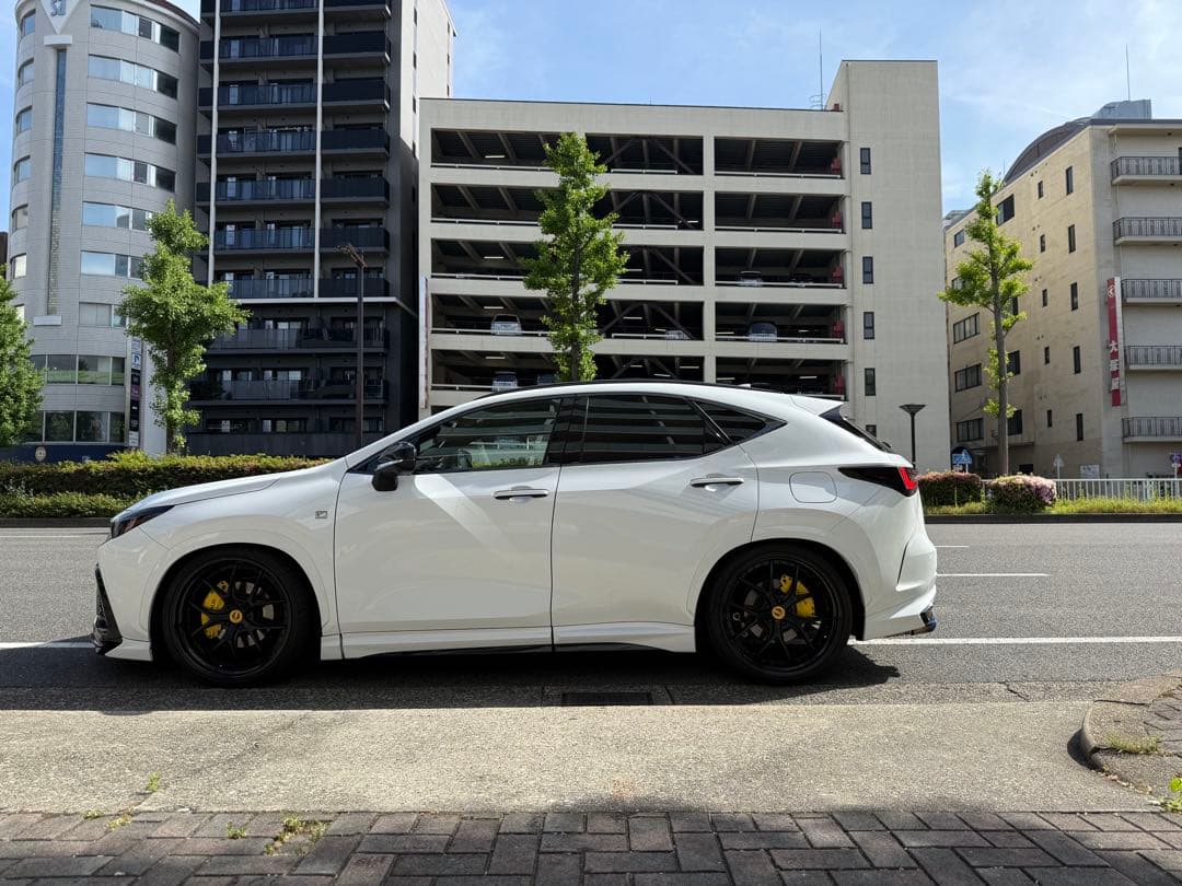 レクサスNX 20系用　ブレーキキャリパーカバー　4個セット