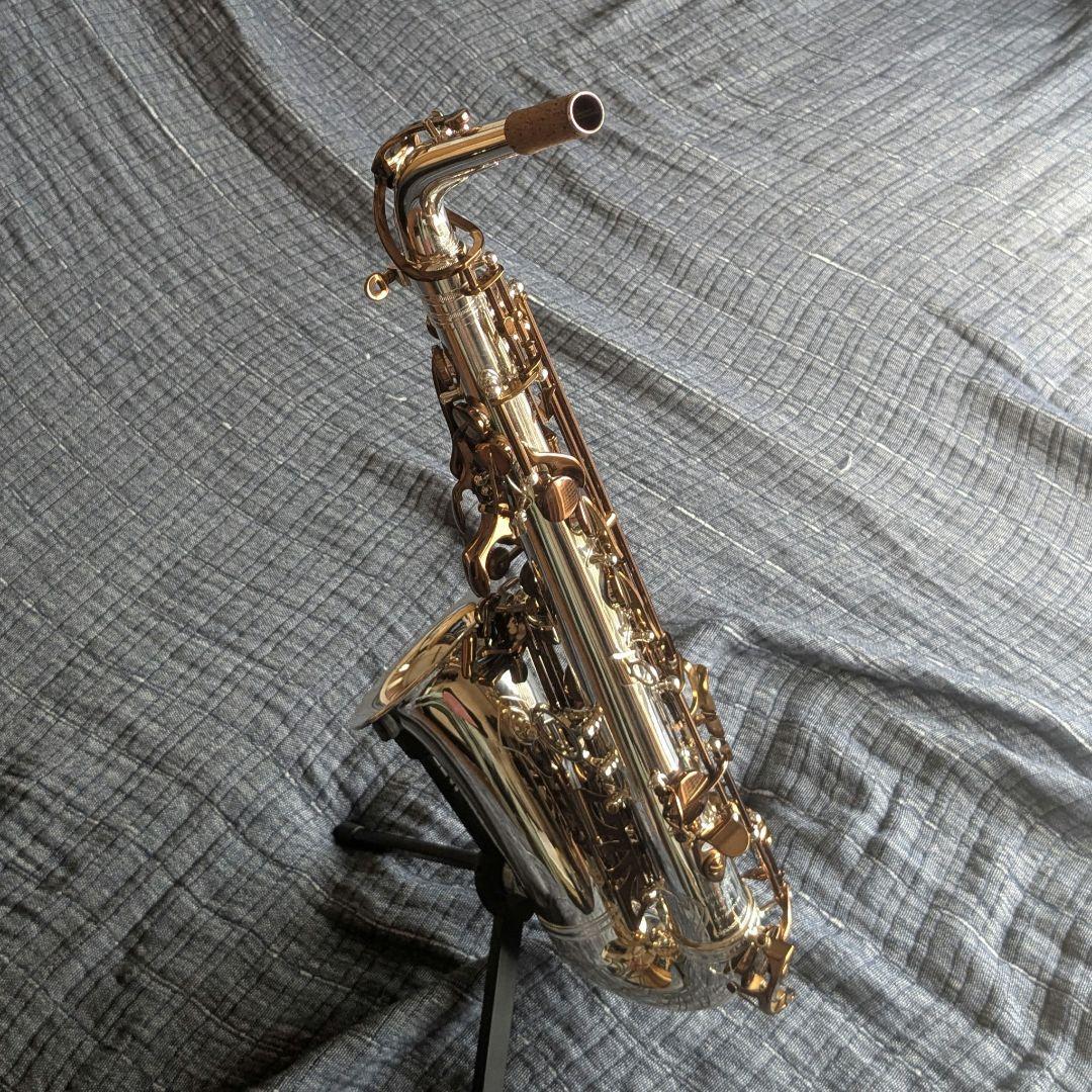 キャノンボール ビンテージリボーン 銀メッキ AVR/01-SDL