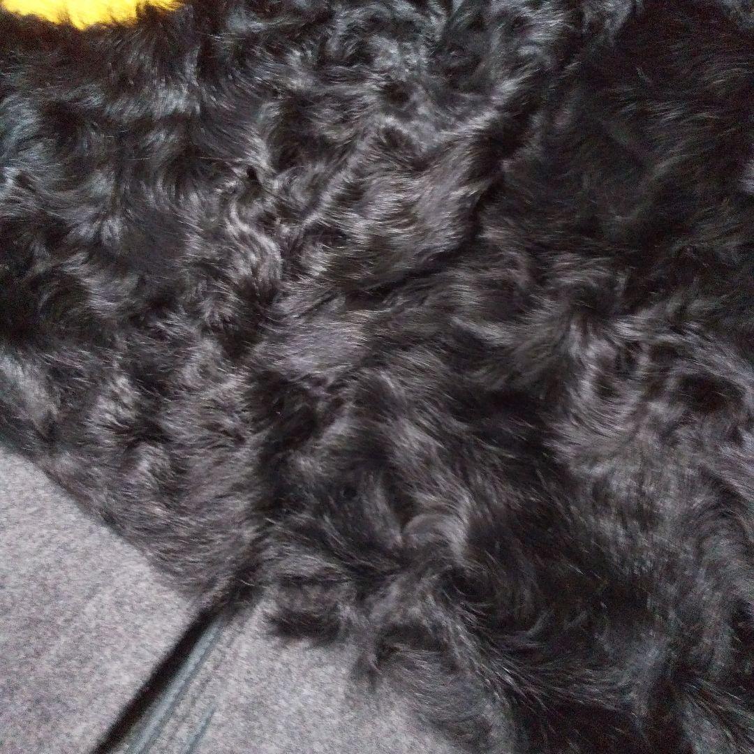 pierre cardanピエールカルダン★ファー付きロングベスト44 (LL)