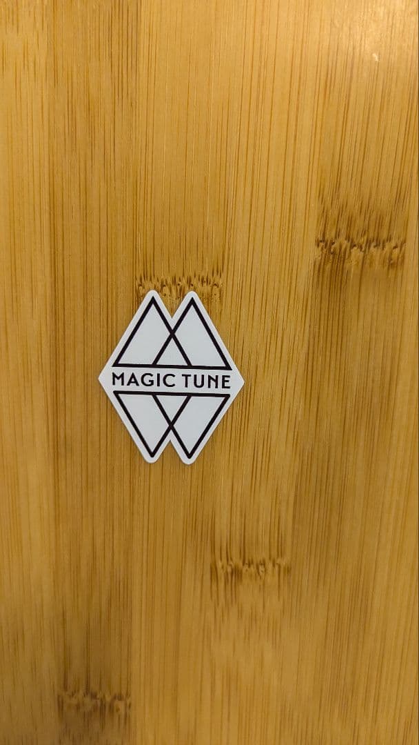 ゲンテンスティック GEMTEMSTICK BIG FISH 163