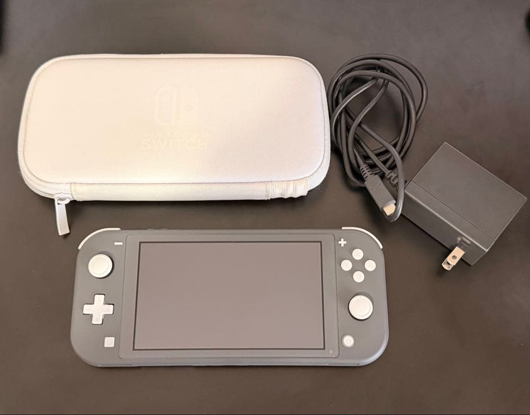 Nintendo Switch Lite グレー 本体　充電器&ポーチ付き