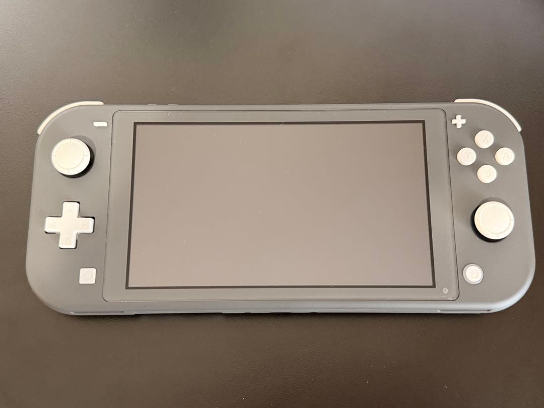 Nintendo Switch Lite グレー 本体　充電器&ポーチ付き