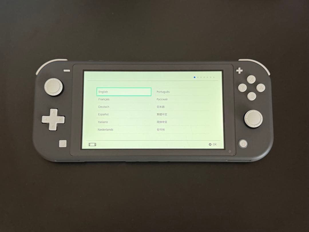 Nintendo Switch Lite グレー 本体　充電器&ポーチ付き