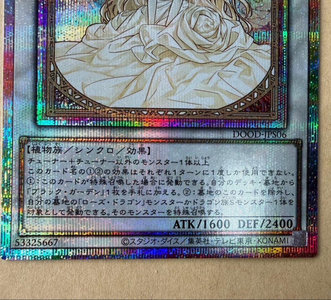 遊戯王　ガーデン・ローズ・メイデン 絵違い　プリズマ　新品未使用