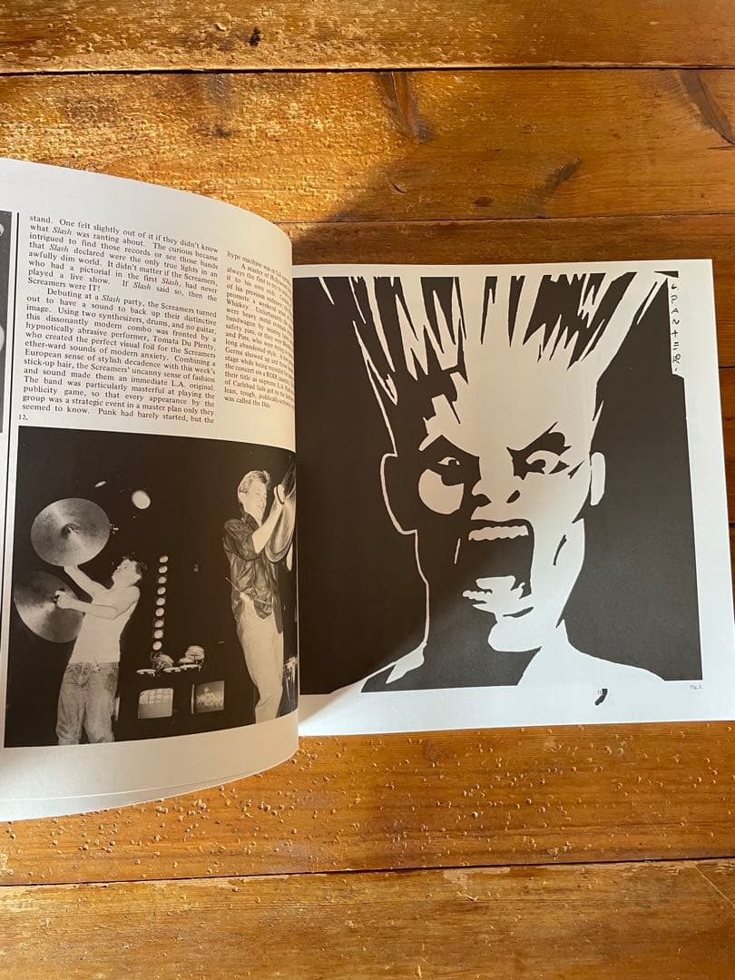 洋書 HARDCORE CALIFORNIA 1983