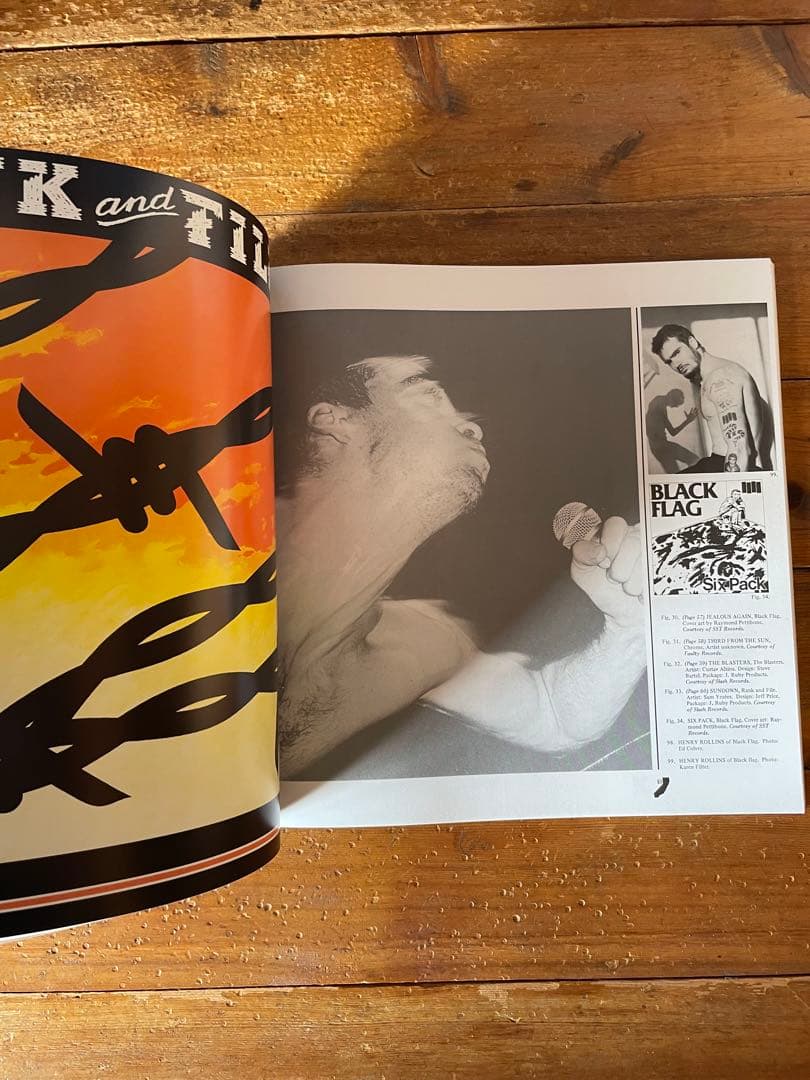 洋書 HARDCORE CALIFORNIA 1983