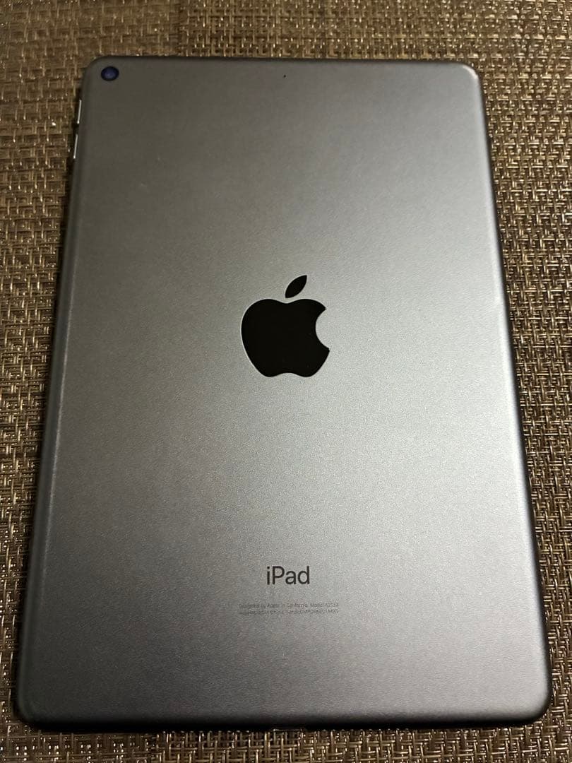 ジャンクiPad mini5 64Gb wifi