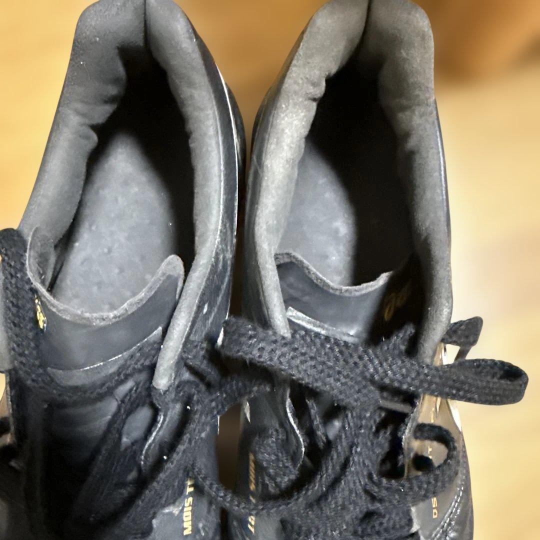 モレリア2 LIGHT X-FLY