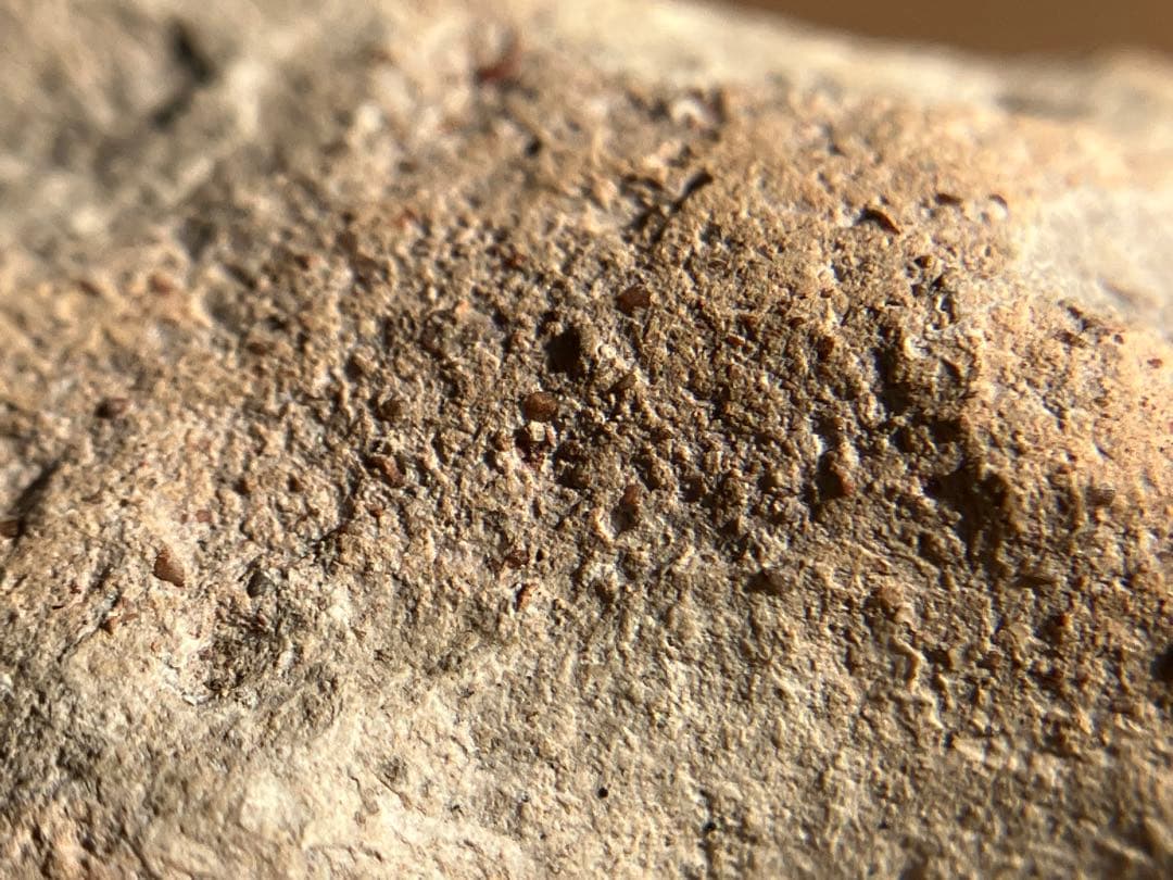 【美しい、、古代中国の羊像 新石器時代後期頃 前3000～2000年】骨董発掘