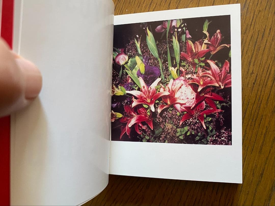 荒木経惟　写真集「POLAEROID」直筆サイン入り800部限定　カード付き