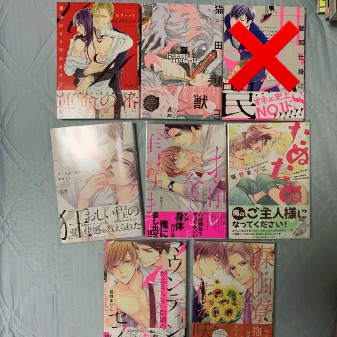 BL 漫画 26冊セット