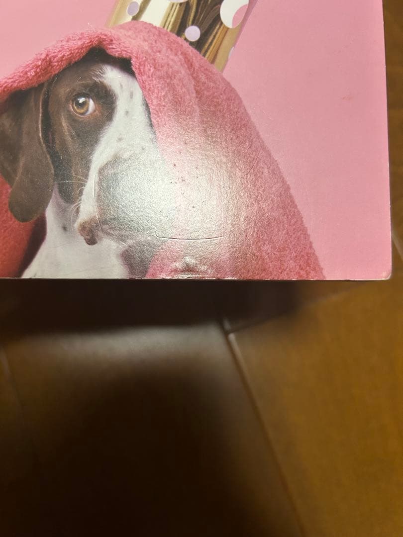 Mrs.GREENAPPLE アルバム CDセット 初回限定盤